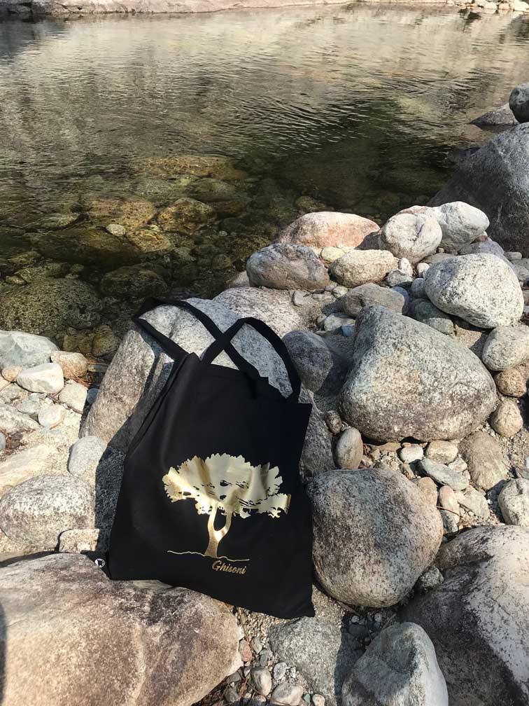 Tote bag noir & Pin Fourchu doré