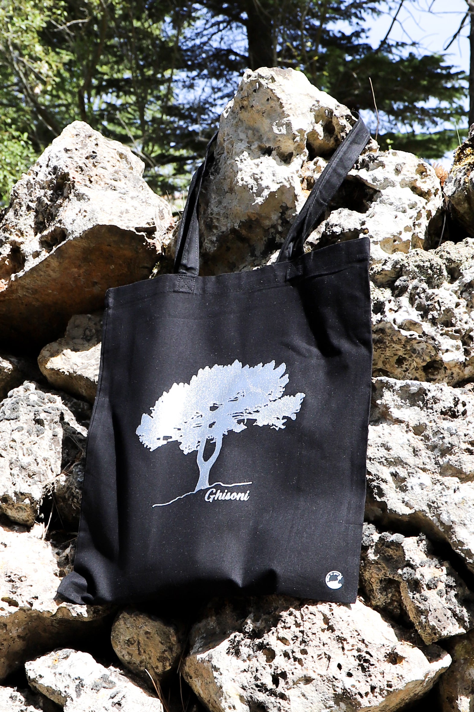 Tote bag noir  & Pin Fourchu argenté